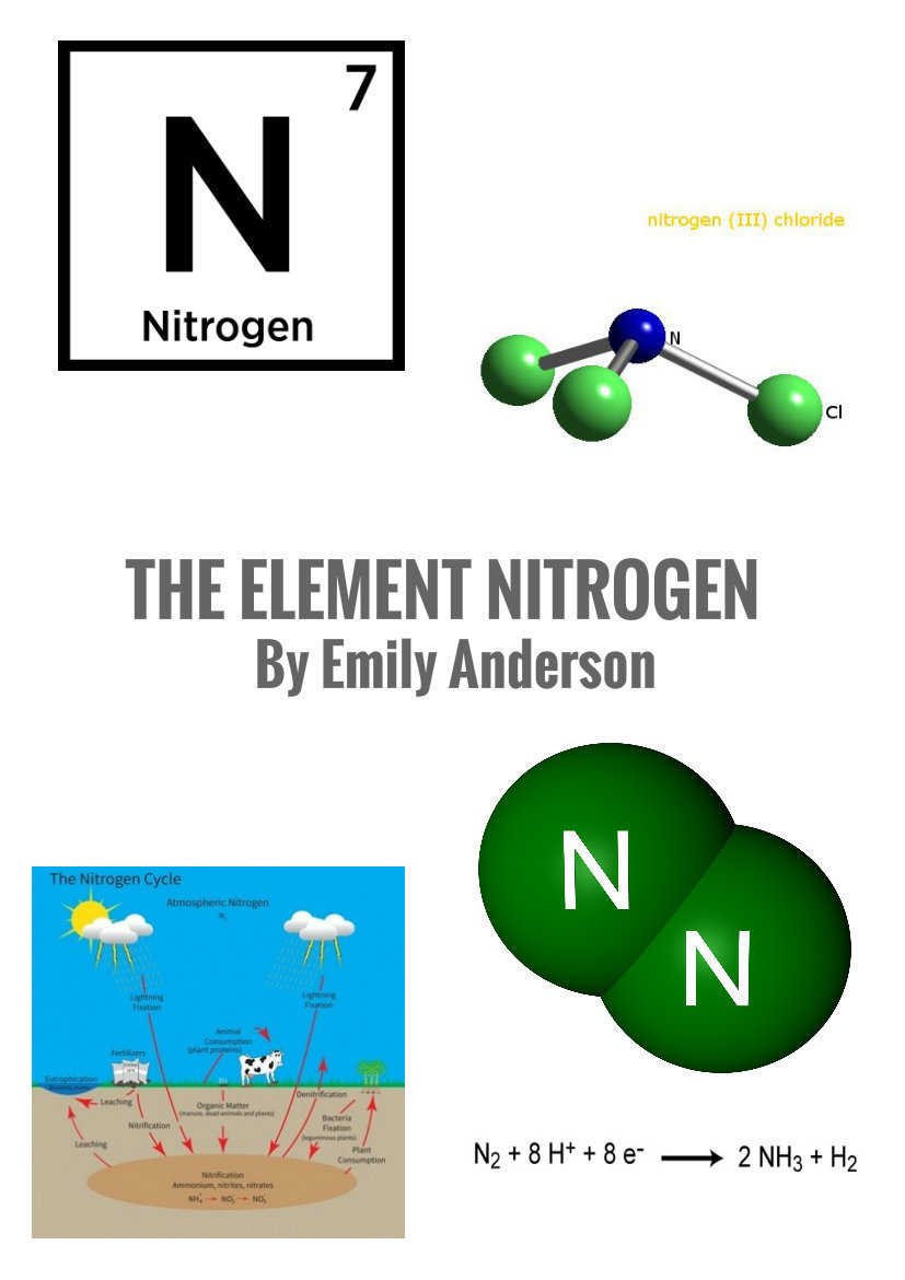 Nitrogen Element Project by 89007 - Flipsnack