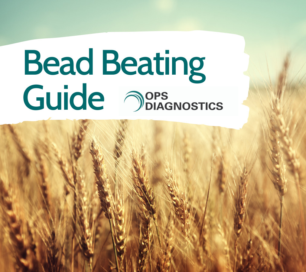 Bead Beating Guide 2020 by Michelle Hurley Flipsnack