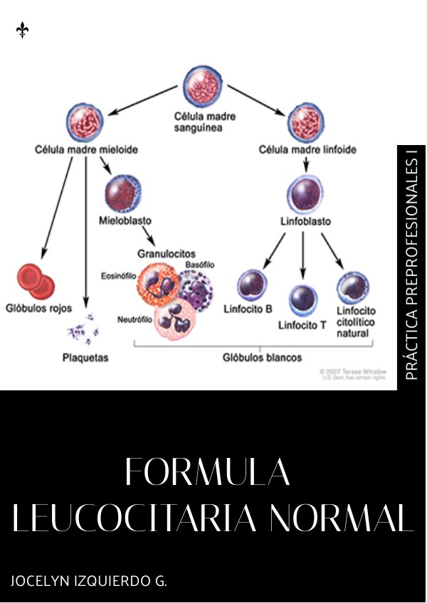 FORMULA LEUCOCITARIA NORMAL. by Jhoss Garcia - Flipsnack