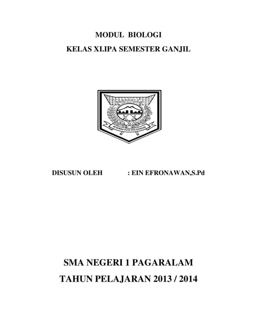 SISTEM RANGKA MANUSIA