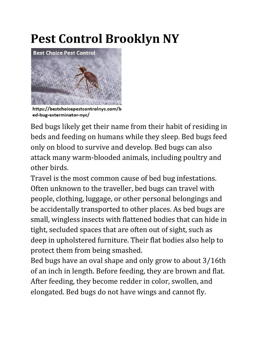Bed Bug Exterminator Brooklyn NY, Pest Control Brooklyn NY by Best