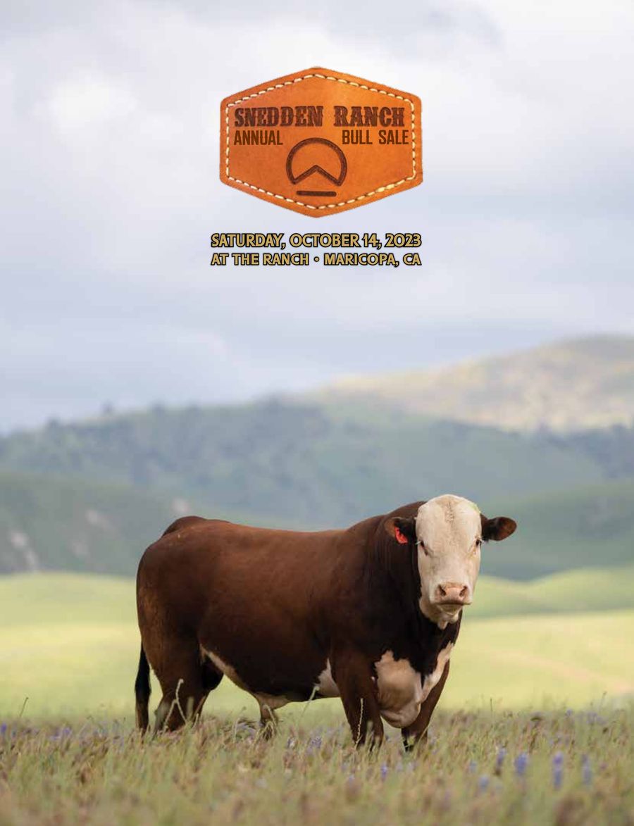 2023 Snedden Ranch Bull Sale by Best of the West - Flipsnack