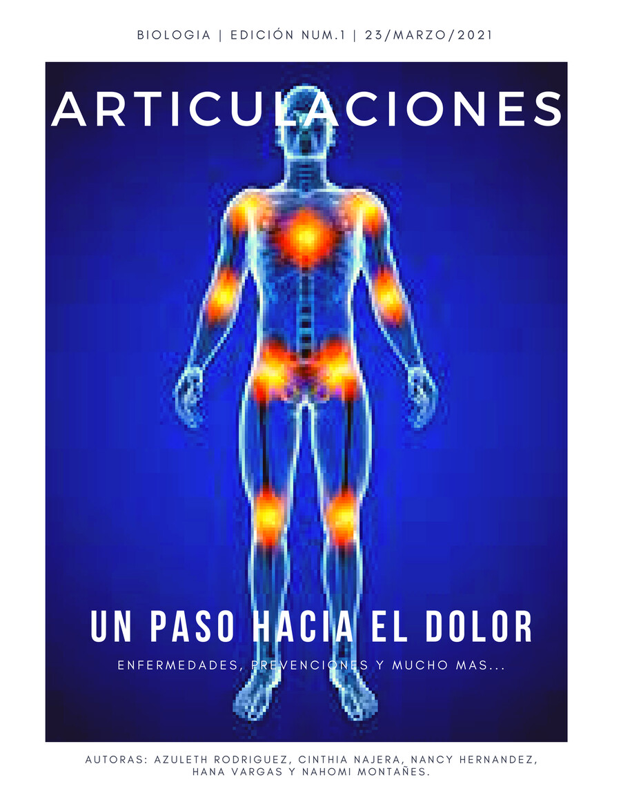 Enfermedades De Las Articulaciones By Nancy Hernandez Flipsnack