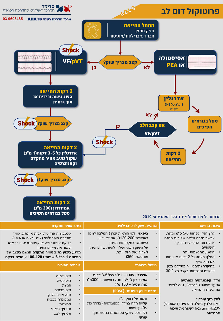 עיצוב פרוטוקולים acls פדיקר by izik hacmon - Flipsnack