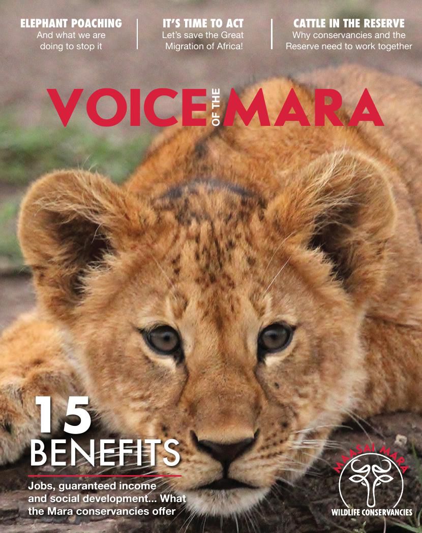 Voice of the Mara (First Edition) by Maasai Mara Wildlife Conserva