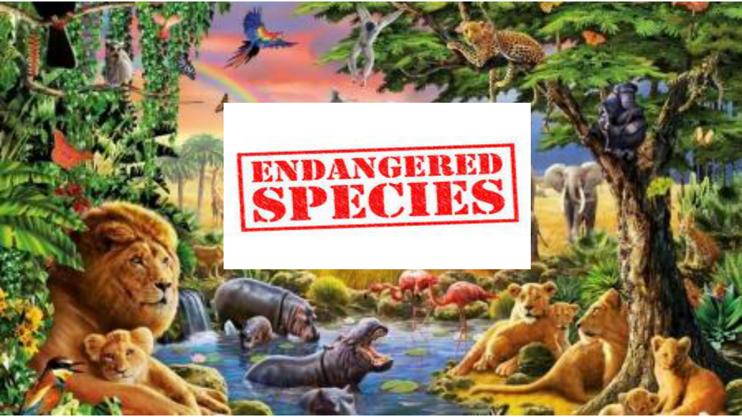 Endangered Species Flipbook by Alejandro - Flipsnack