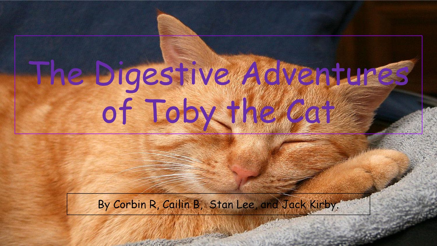 The Digestive Adventures of Toby the Cat Corbin and Cailin by CAILIN ...