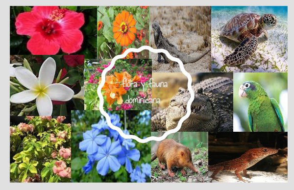Flora y Fauna dominicana by Ambar0707 - Flipsnack