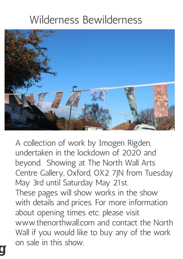 Catalogue for exhibition Wilderness Bewilderness by Imogen Rigden ...