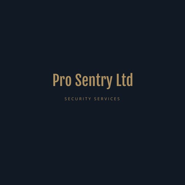 Pro Sentry Ltd - Security Services by Jessica - Flipsnack