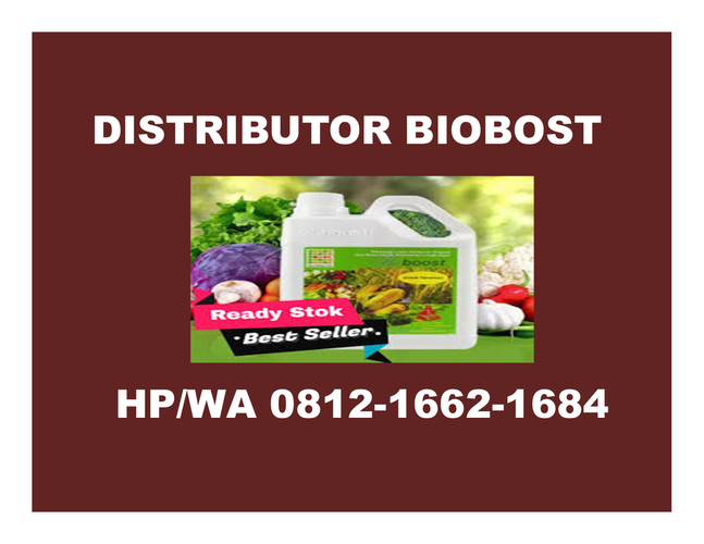 HP/WA 0812-1662-1684  Jasa Security