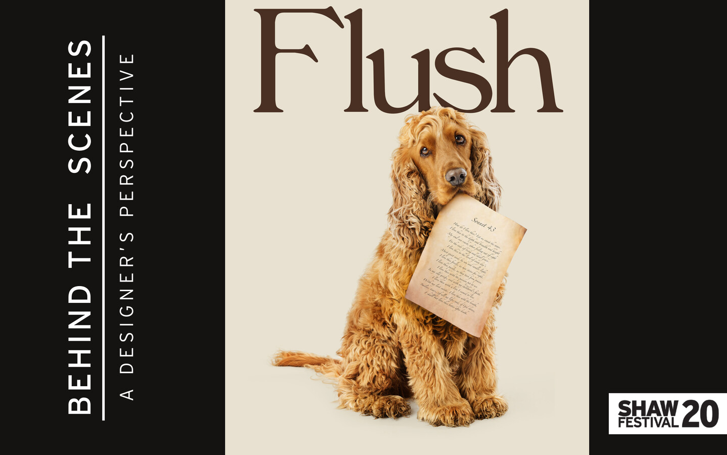 flush design book by sim Flipsnack