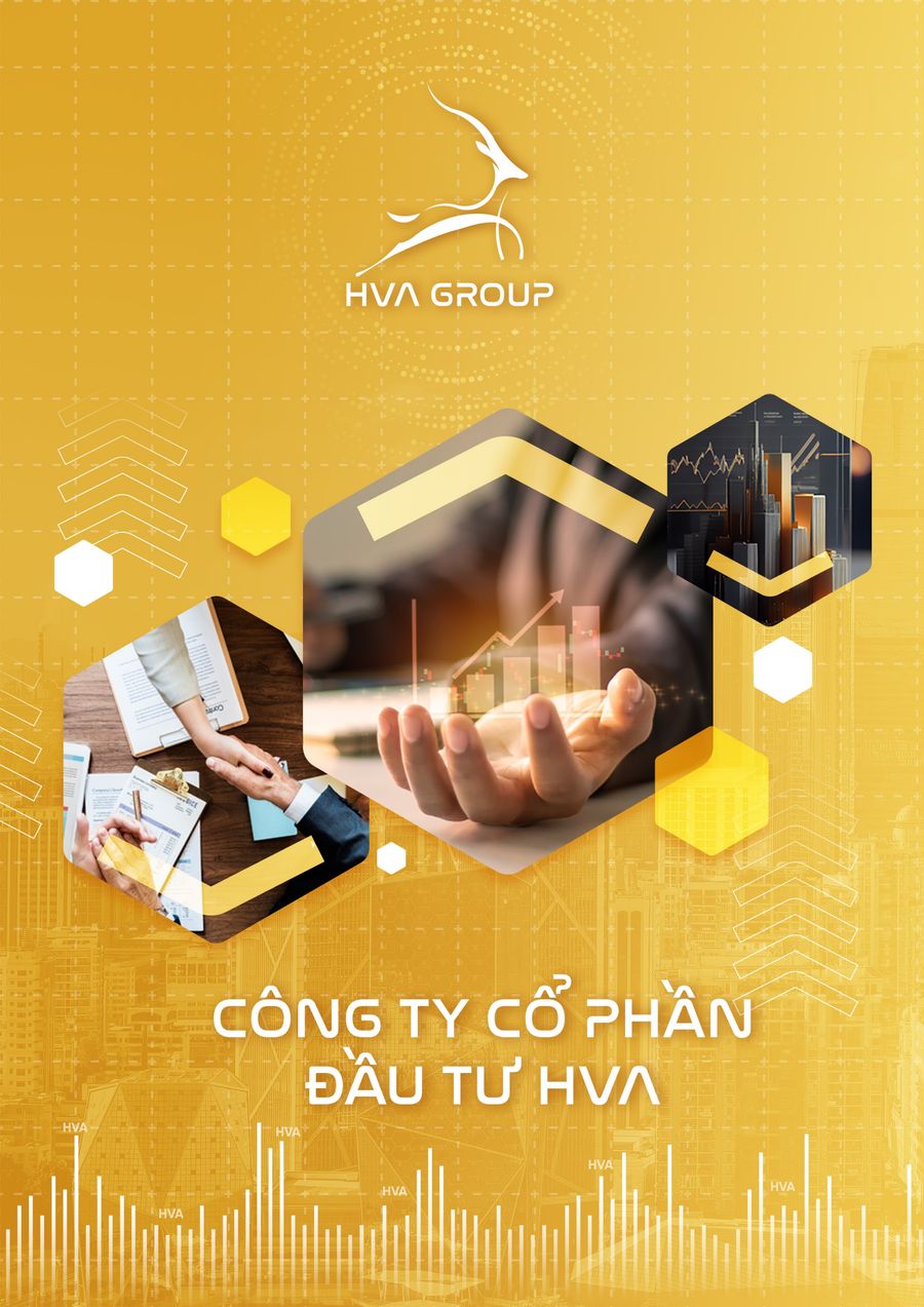 HVA PROFILE TIẾNG VIỆT by Money Mr. - Flipsnack