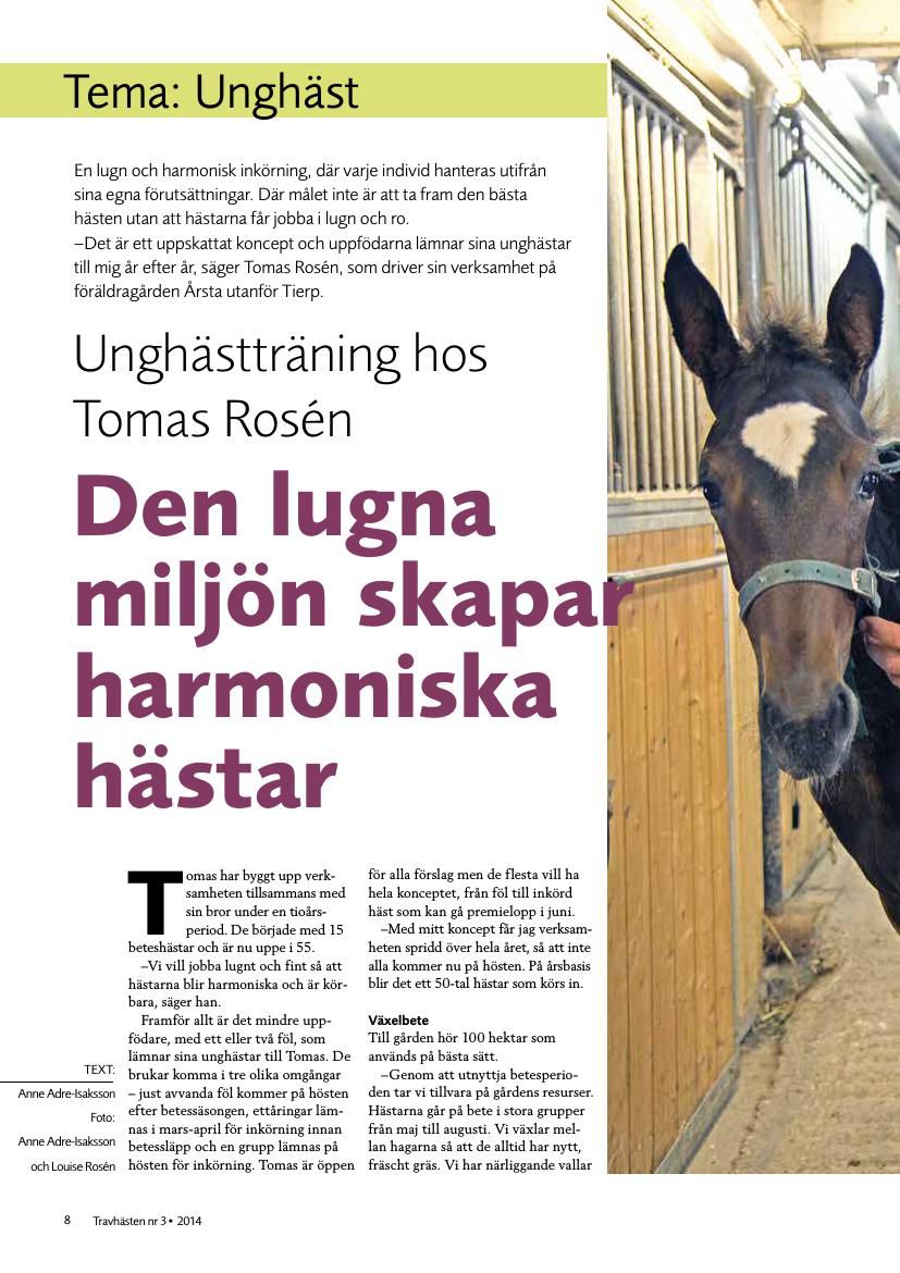 Unghästträning hos Tomas Rosén by Vallagruppen - Flipsnack