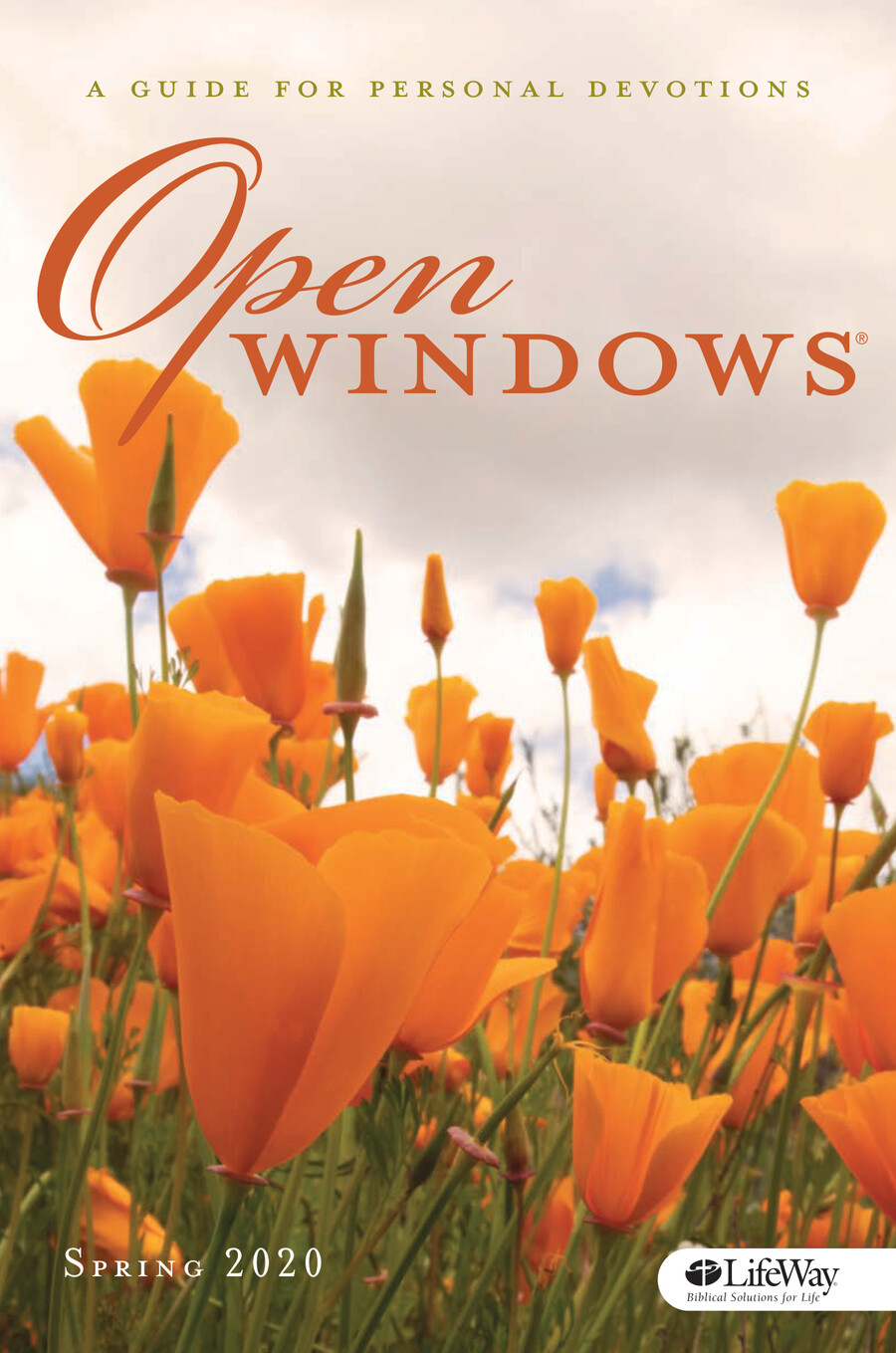 Open Windows — Spring 2020 by Lifeway Flipsnack