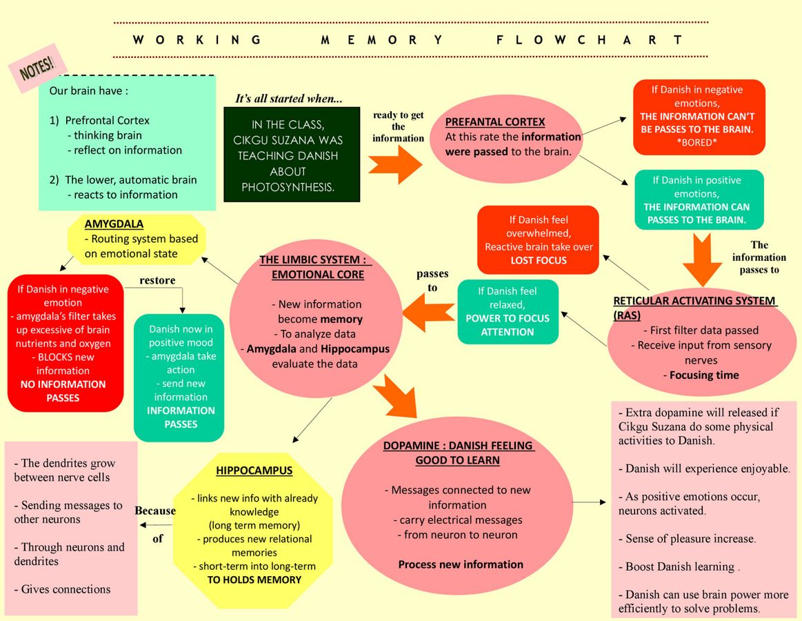 Flowchart Working Memories by Nor... - Flipsnack