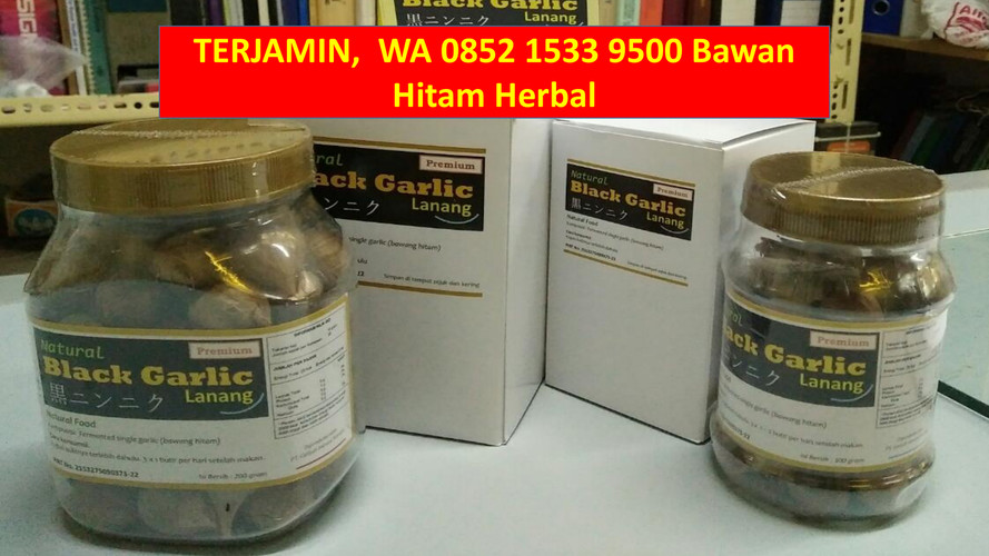 TERJAMIN,  WA 0852 1533 9500 Bawan Hitam Herbal