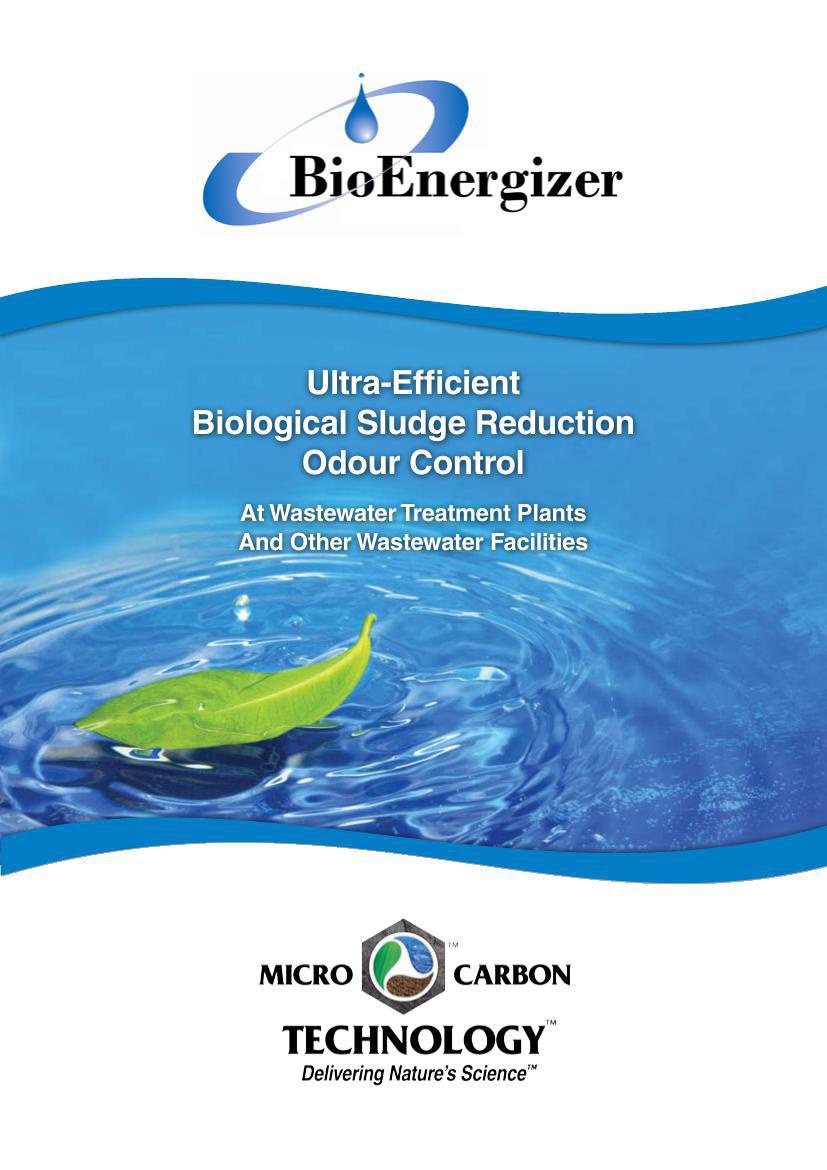 BioEnergizer Overview by Marc Middleton - Flipsnack