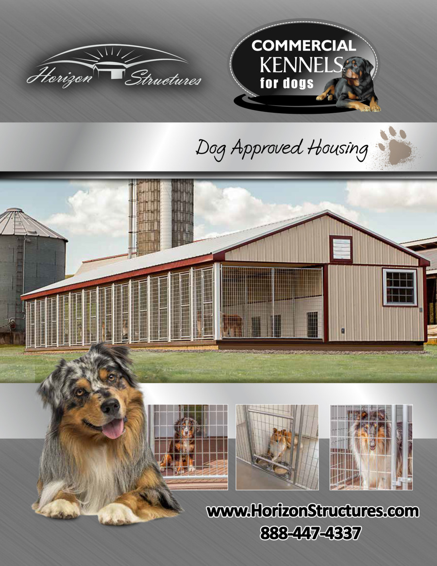 Prefab commercial shop dog kennels