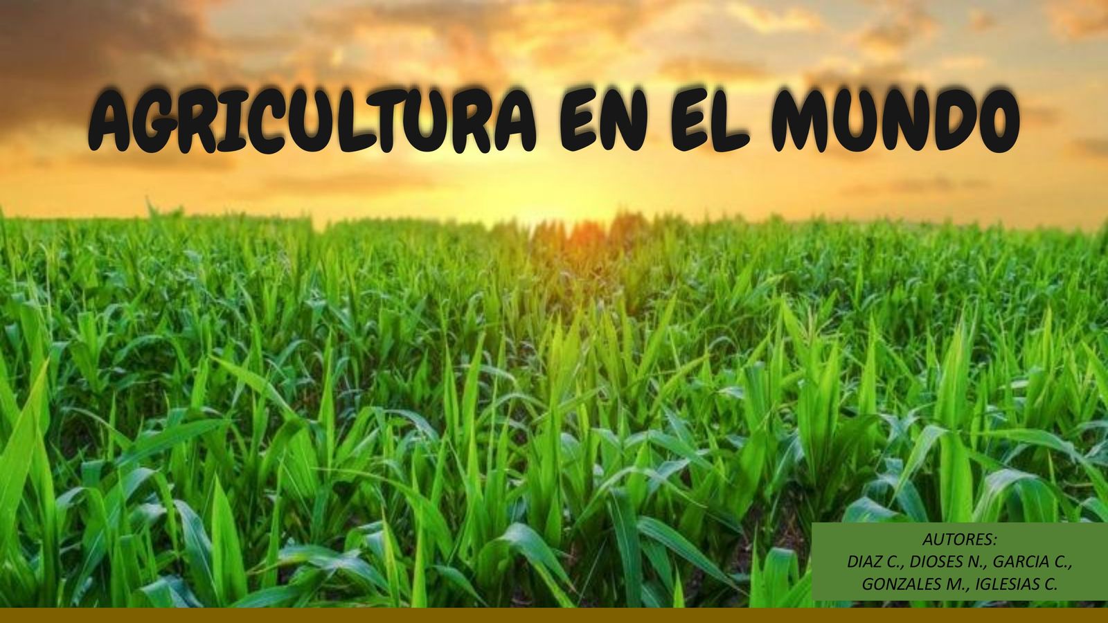 AGRICULTURA EN EL MUNDO By Marita Flipsnack   Medium