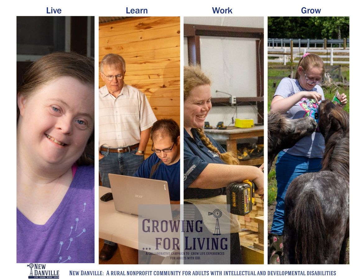 New Danville 2025 Vision by Randy Smyth Flipsnack