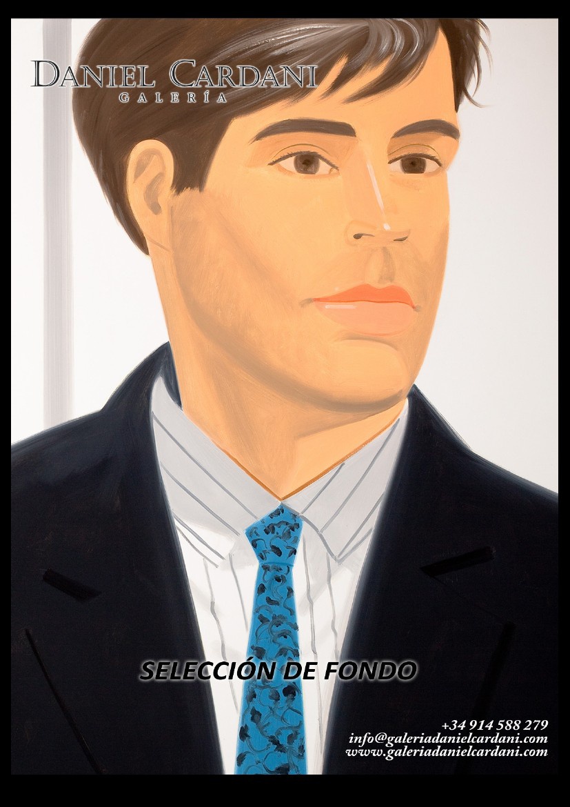 Galería Daniel Cardani by Javier Torras - Flipsnack