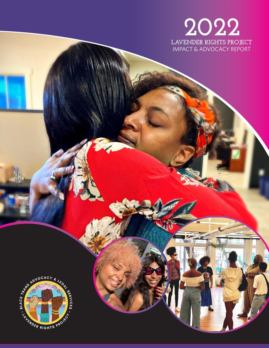 2022 Impact & Advocacy Report - Lavender Rights Project by Amy Heart ...