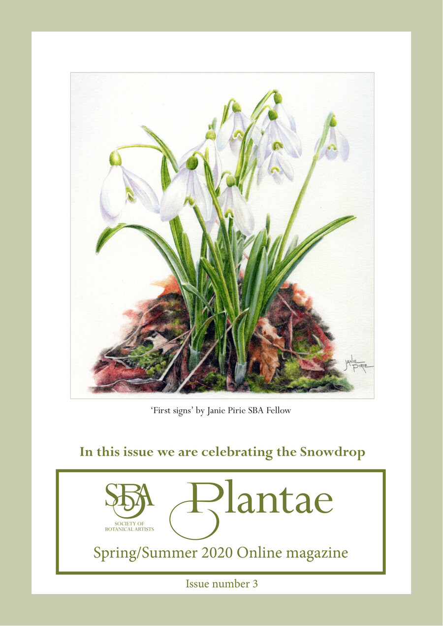 SBA Spring-Summer Mag 2020 - for flip book by SBA user - Flipsnack