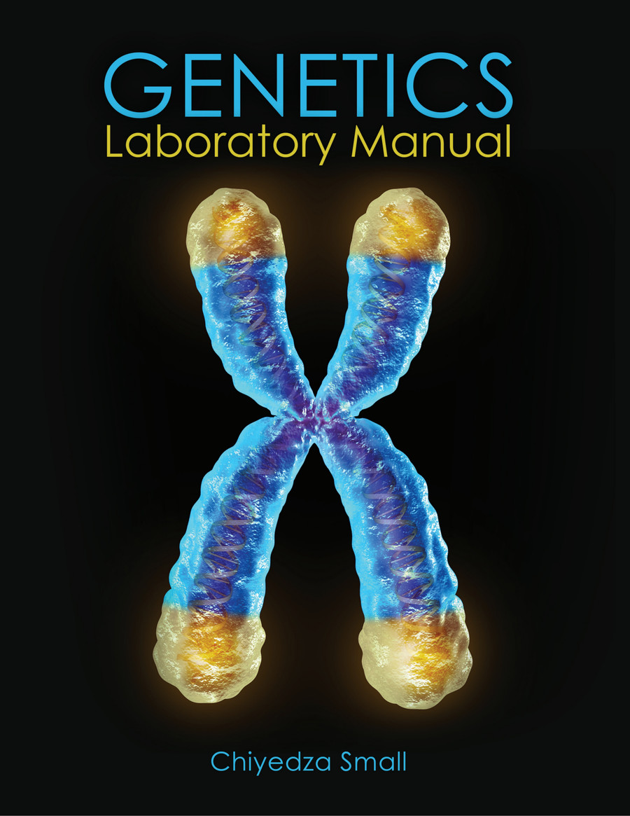 Sample Laboratory Manual by Cheap Book Flipsnack