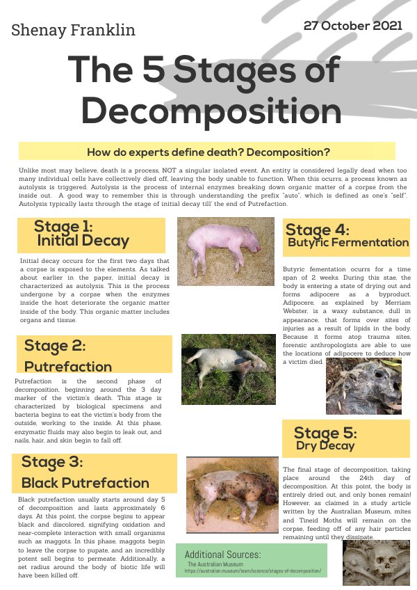 Forensic Science Decomposition Brochure by Shenay Franklin - Flipsnack