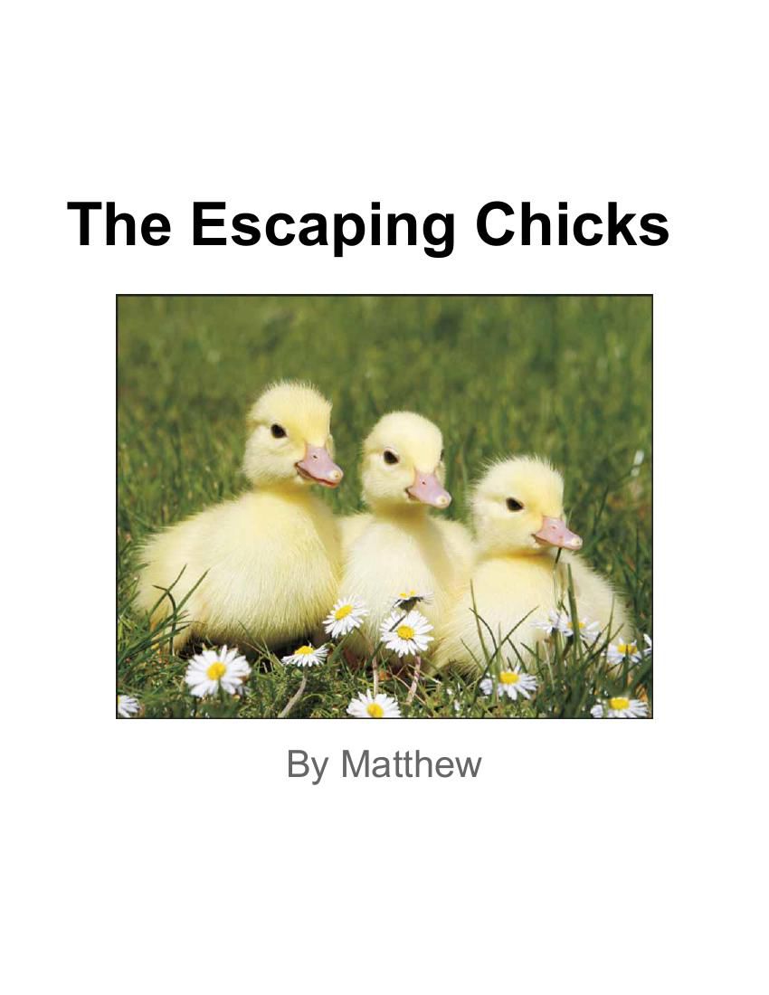 Realistic Fiction Matthew Majewski by Jill Hannum - Flipsnack