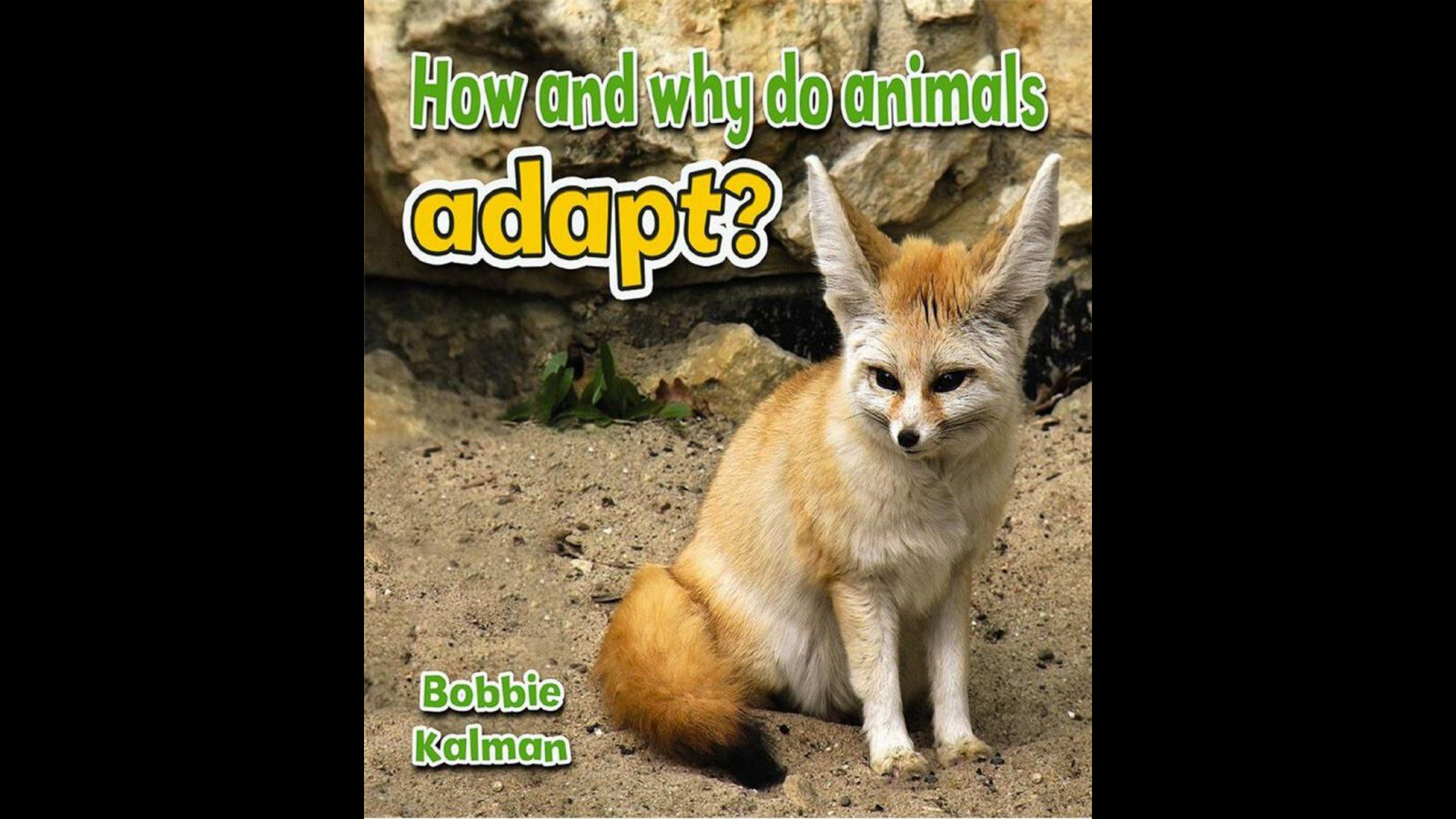 Why Do Animals Adapt