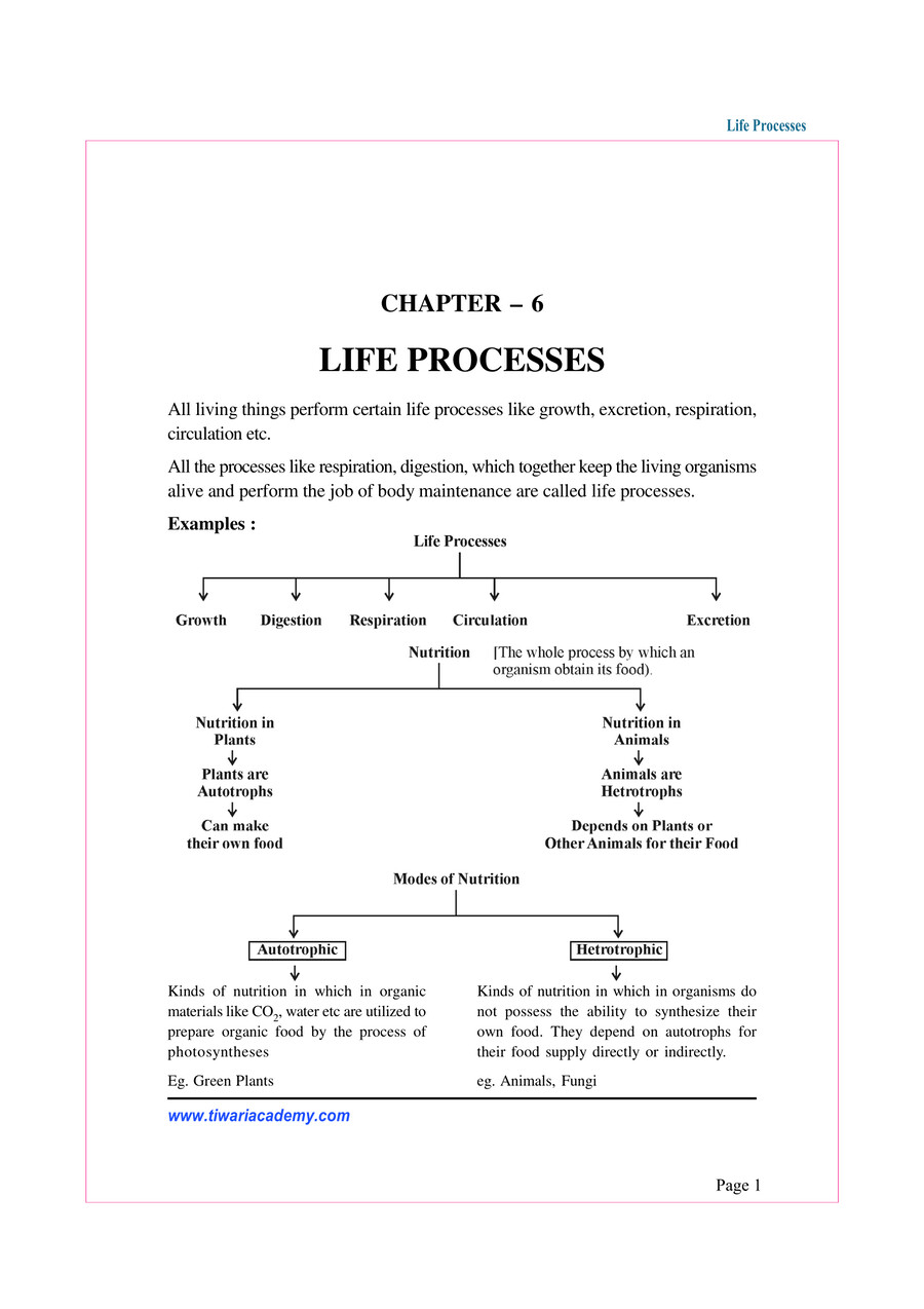 LIFE PROCESS ART-INTEGRATED PROJECT by shervin mohamed - Flipsnack