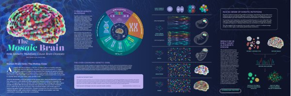 45540-TS-Digest-JUN-Mosaic-Brain-Animated-Poster-IC by info - Flipsnack
