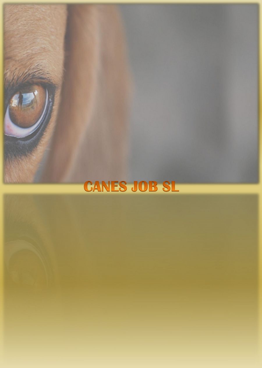 CATALOGO CANES JOB 2018 by canes Flipsnack