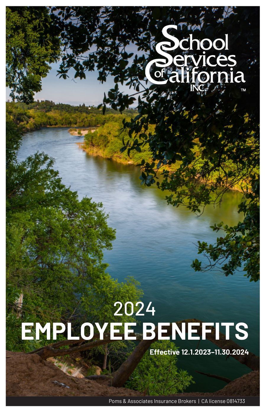 SSCA Benefits Guide-2024 by pomsassoc - Flipsnack