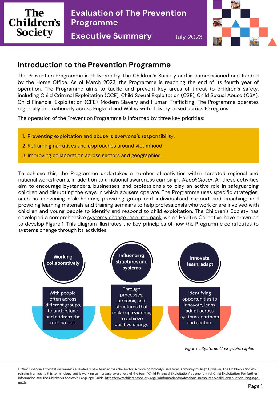 Evaluation of the Prevention Programme - Executive Summary by The ...