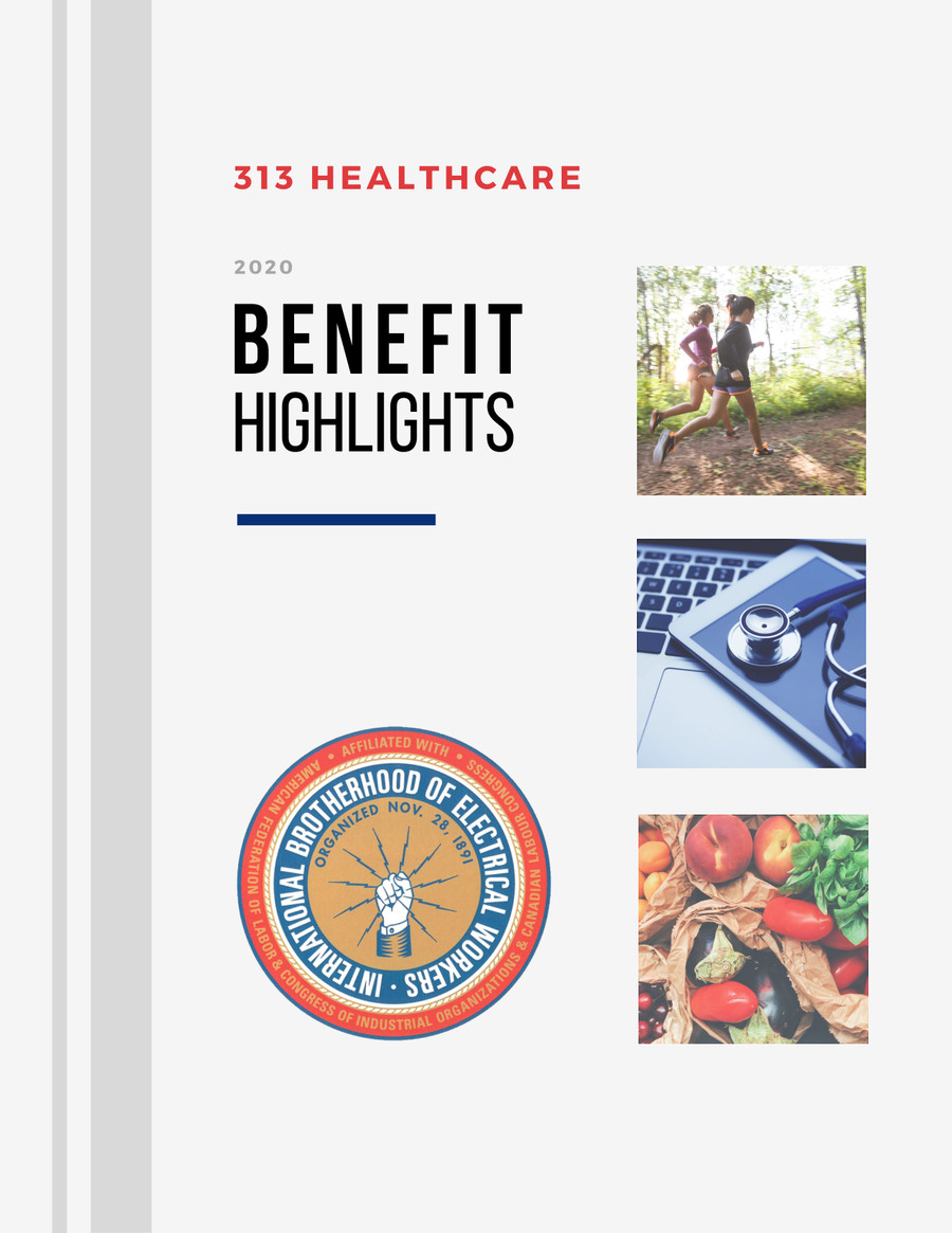313 HEALTHCARE BENEFIT HIGHLIGHTS by LACHER Flipsnack