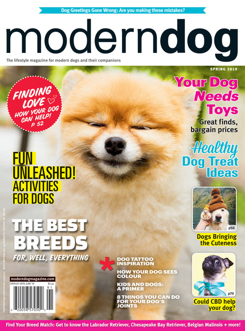 Sprocket Shueey  Modern Dog magazine