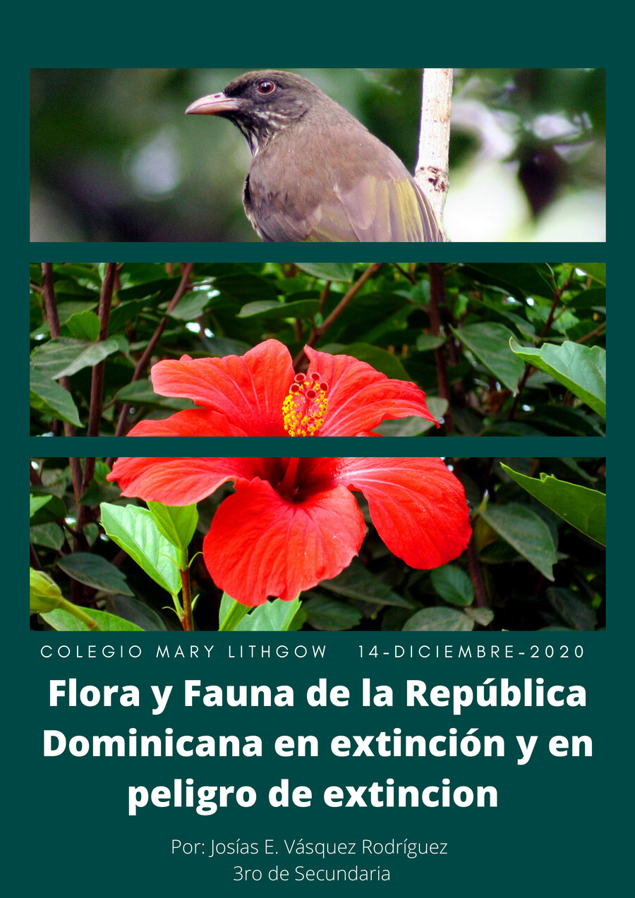 Flora y Fauna de la República Dominicana en peligro de extinción by ...