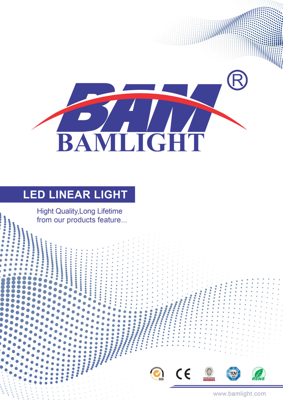 BAM Linear Lighting Catalogue by Bam Light - Flipsnack