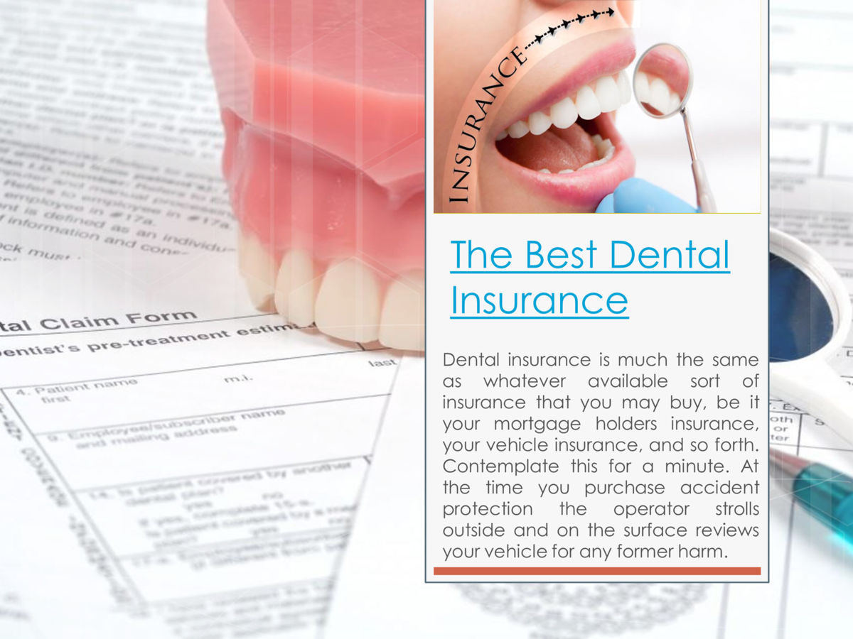 no-waiting-period-dental-insurance-by-dental-insurance-flipsnack