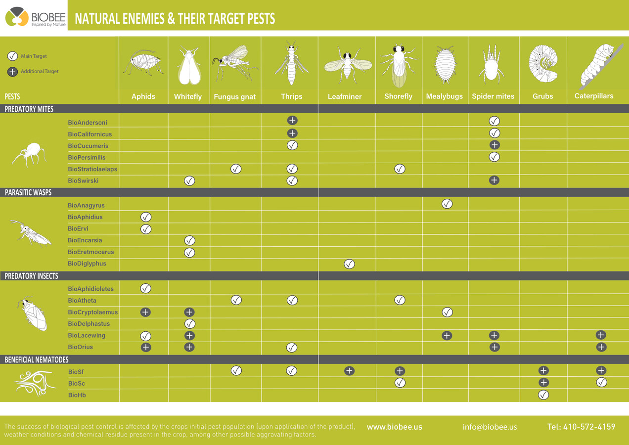 MAIN AND SECONDARY PEST CHART by Langer Sandra Flipsnack