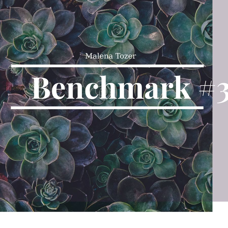 Spanish Benchmark 3 by mackenziet19 Flipsnack