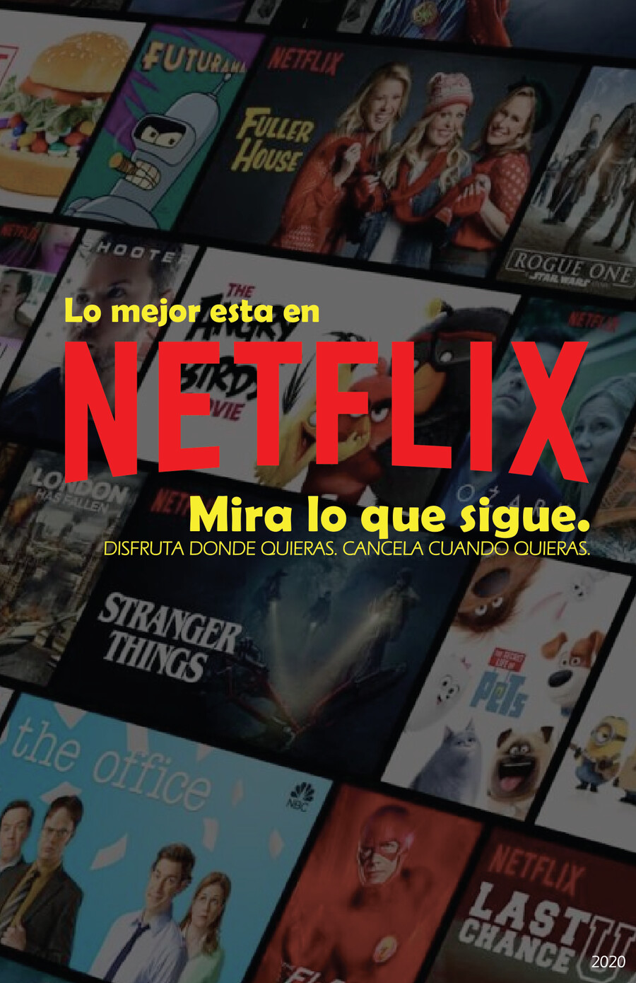 CATALOGO NETFLIX MEXICO visual data 2