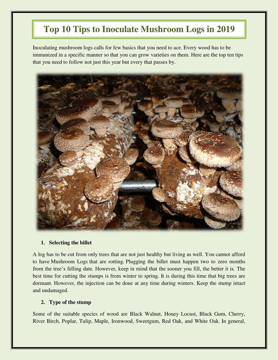 Top 10 Tips to Inoculate Mushroom Logs in 2019 by Agrinoon Flipsnack