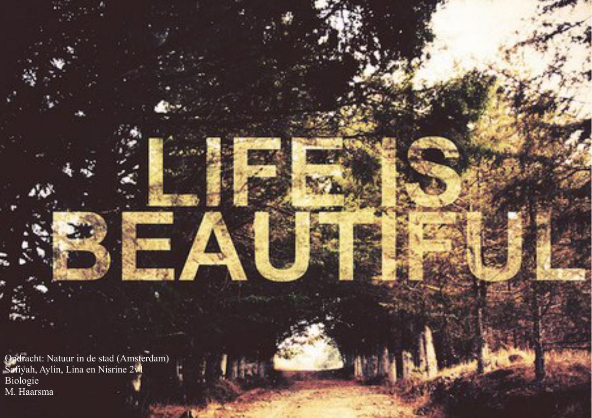 Life is beauty