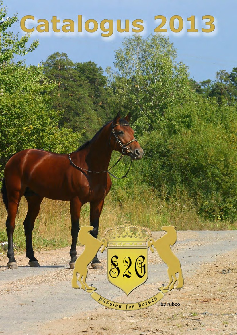 RUBCO S2G catalogue horses 2013 by sigridgerits Flipsnack