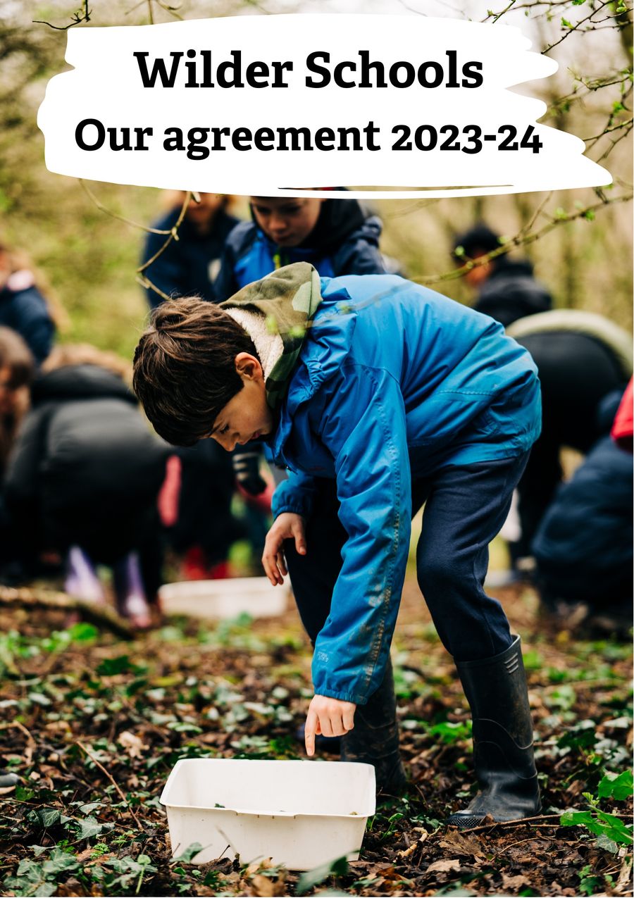 Wilder Schools agreement 202324 by Devon Wildlife Trust Flipsnack