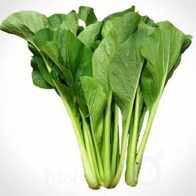SAYUR FRESH ASLI!! Call: 081328680537, Caisim Jakarta Sawah Besa